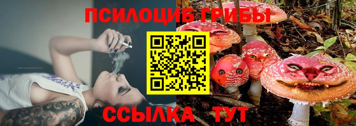 Евпатория  Галлюциногенные грибы Psilocybine cubensis  Псилоцибиновые грибы Magic Shrooms  Вход с VPN 